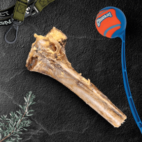 Large Ostrich Cane : The Ultimate Long-Lasting Chew for Medium, Large & XL Dogs