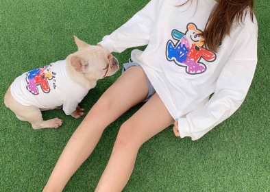 Teddy Bear - Matching Pet and Owner Clothing Set (Color: White, size: medium)