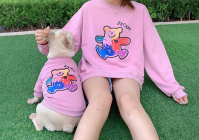 Teddy Bear - Matching Pet and Owner Clothing Set (Color: Pink, size: 3XL)