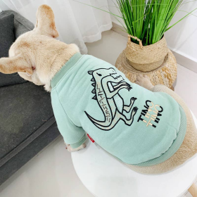 Dinosaur Love - Matching Pet and Owner Clothing Set (Color: Mint Green, size: large)