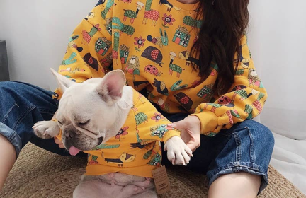 Animal Pattern - Matching Pet and Owner Clothing Set (Color: Yellow, size: 4XL)