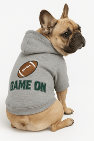 Game On Athletic Dog Hoodie (Color: Gyay, size: XS)