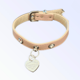Pretty in Pink and Sniffany Collar (size: 10")