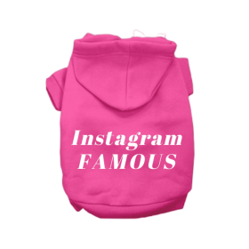 IG Famous Hoodie (Color: Pink, size: X Small)