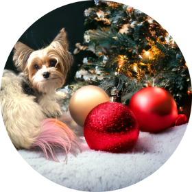 Custom Ceramic Ornament (size: 3 inch)