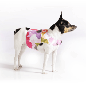 DCNY "Fine Art Frolic" Pink Vest-Style Harness (size: XXS)