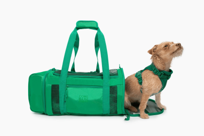 Travel Buddy  - Pet Carrier (Color: Green)