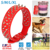 Dog Leather Collar