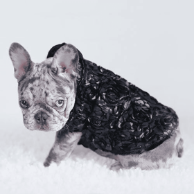 Victorian Dog Coat (Color: Black, size: SM)